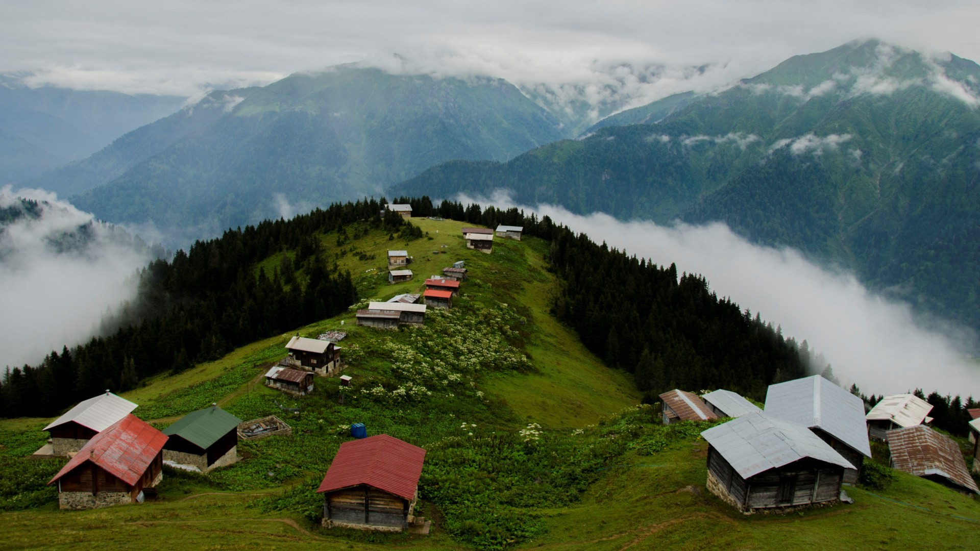 Doğu Karadeniz Karavan Parkları: Artvin ve Rize’de Güvenli Konaklama