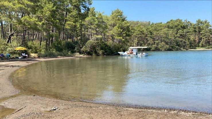 Marmaris Karavan Kamp Yerleri: Çam Ormanları İçinde 5 Adres